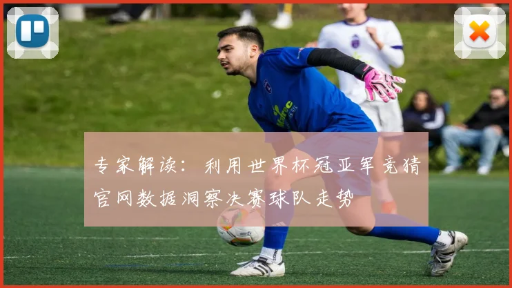 专家解读：利用世界杯冠亚军竞猜官网数据洞察决赛球队走势