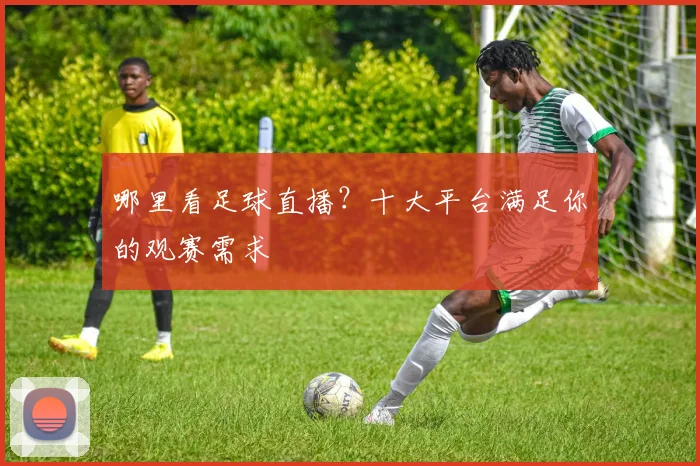 哪里看足球直播？十大平台满足你的观赛需求