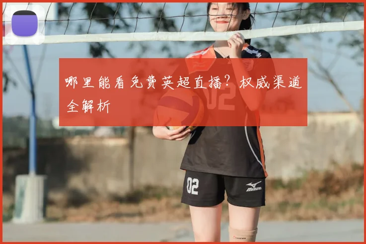 哪里能看免费英超直播？权威渠道全解析