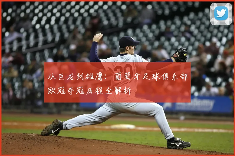 从巨龙到雄鹰：葡萄牙足球俱乐部欧冠夺冠历程全解析