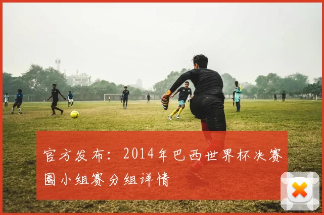 官方发布：2014年巴西世界杯决赛圈小组赛分组详情