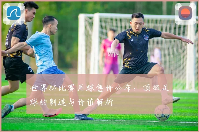 世界杯比赛用球售价公布,顶级足球的制造与价值解析