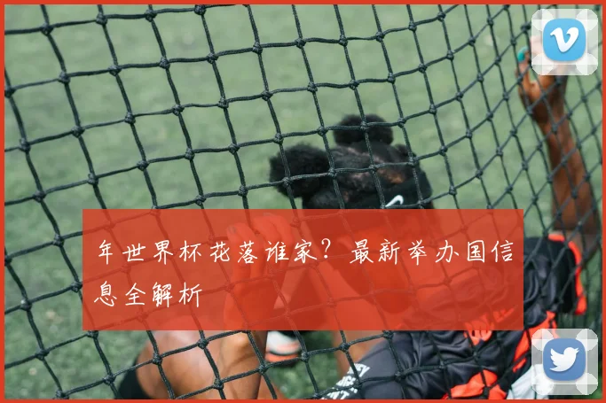 年世界杯花落谁家？最新举办国信息全解析
