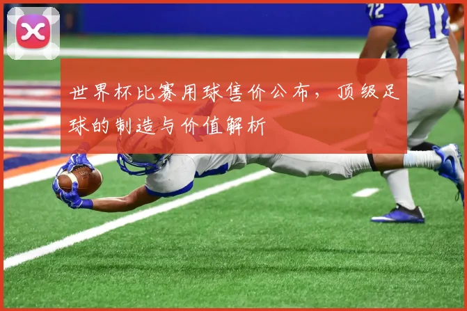 世界杯比赛用球售价公布,顶级足球的制造与价值解析