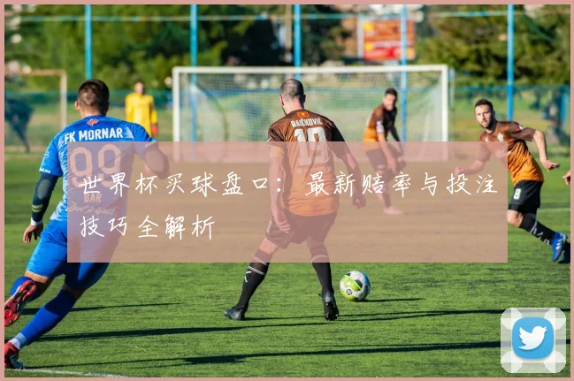 世界杯买球盘口：最新赔率与投注技巧全解析